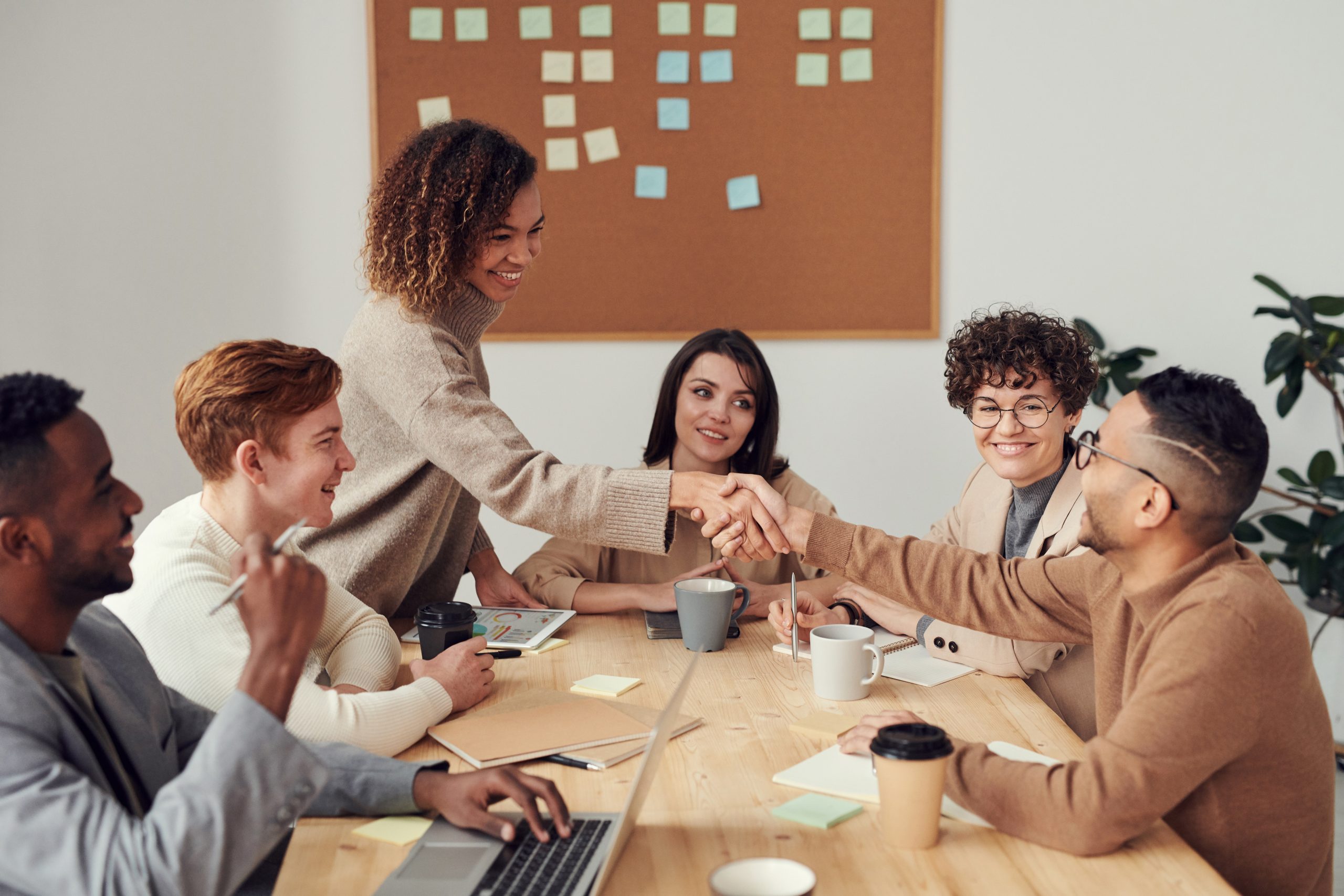 Leiosoft Solutions
